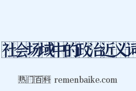 社会场域中的政治近义词是什么意思的图片